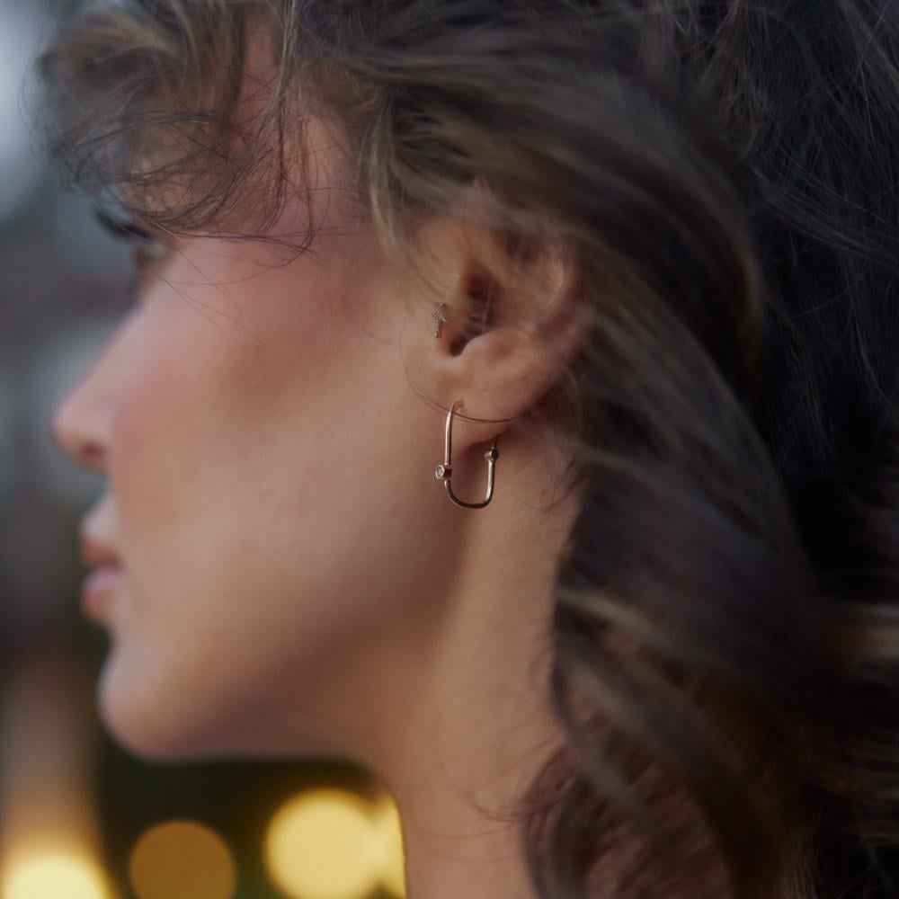 Altın Ataç Küpe - Image 1